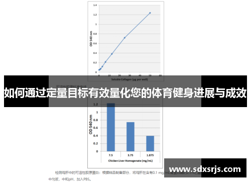 如何通过定量目标有效量化您的体育健身进展与成效