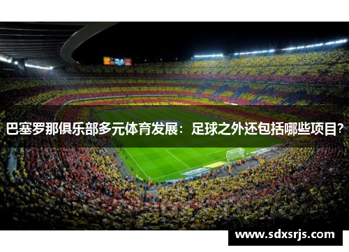 巴塞罗那俱乐部多元体育发展：足球之外还包括哪些项目？