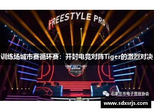 训练场城市赛循环赛：开封电竞对阵Tiger的激烈对决