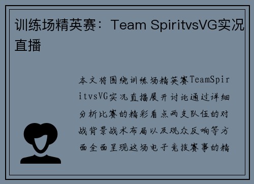 训练场精英赛：Team SpiritvsVG实况直播
